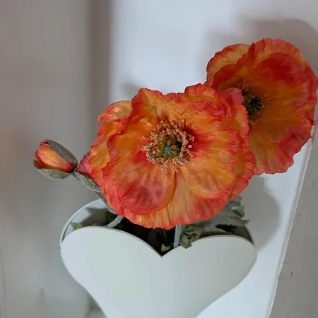 Schmucke Huus Vesterland